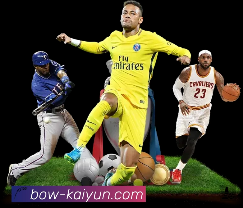 结构优化认证展示